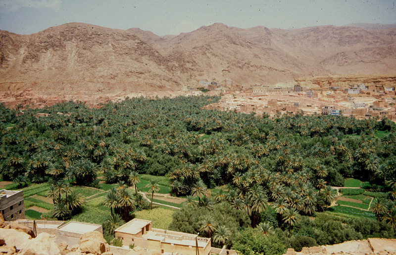 In front of Todra gorge