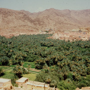 In front of Todra gorge