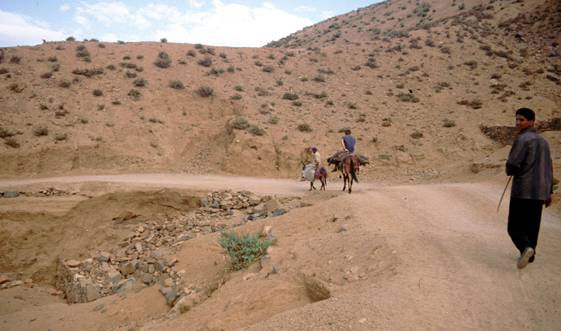 On the donkey in Marocco