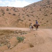 On the donkey in Marocco