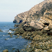 Atlantic coast