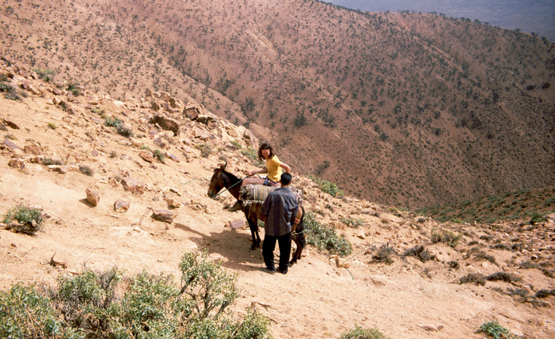 Paula, donkey and  guide