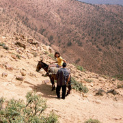 Paula, donkey and  guide