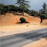 On the road in Marocco